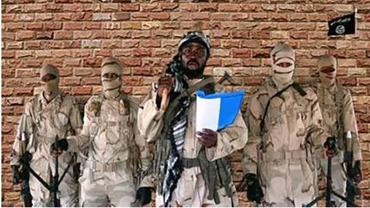 Boko Haram reportedly beheads 43 farmers in Borno*