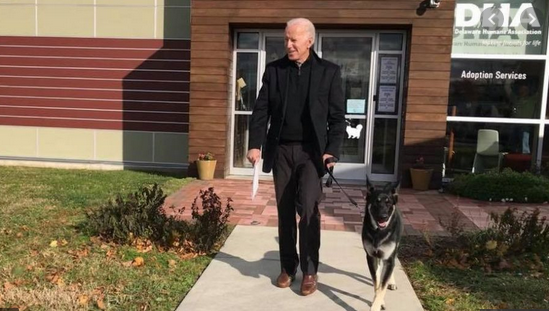 Joe Biden to wear braces for weeks after fracturing his foot*