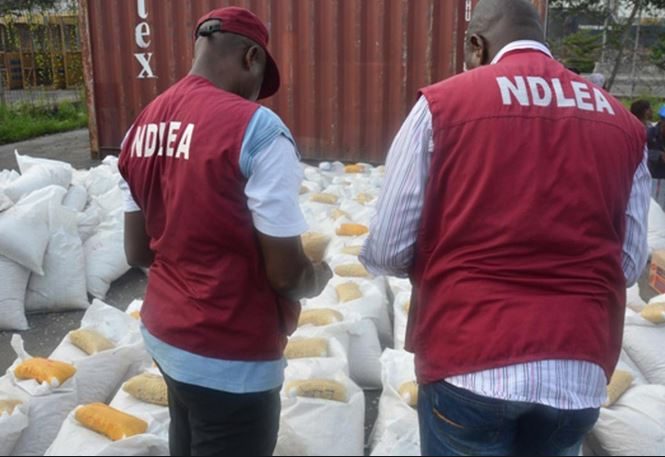 NDLEA Uncovers N30B Hidden Cash