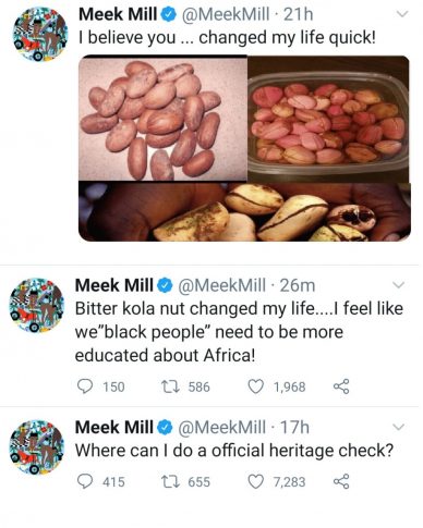 BITTER COLA healed me of an ailment that doctors couldn't treat for 2 years' - Meek mill says 1 1 6