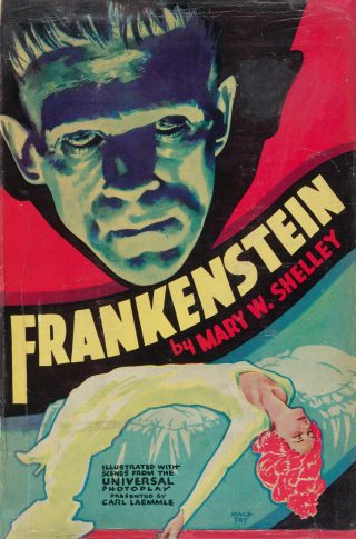 Frankenstein novel