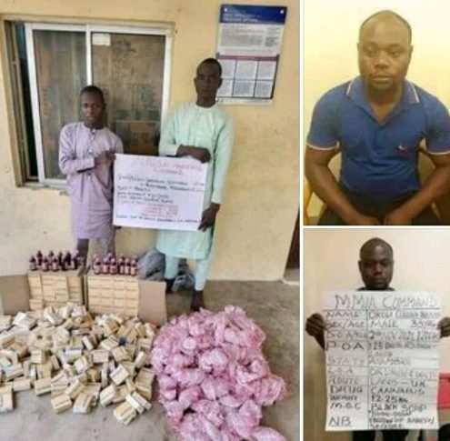 A notorious drug dealer behind London-bound multiple cocaine and meth trafficking arrested 1 1 2