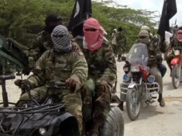 The Night Terror in Ngoshe: 300 + Residents Abducted, Thousands Displaced
